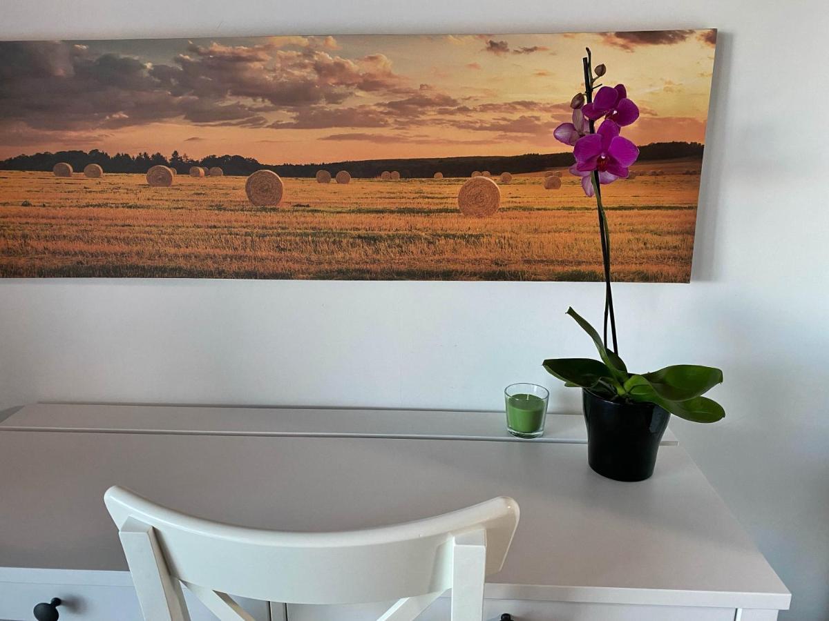Agriturismo Albana Castiglione Delle Stiviere Zewnętrze zdjęcie
